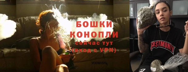 ГАЛЛЮЦИНОГЕННЫЕ ГРИБЫ Анжеро-Судженск