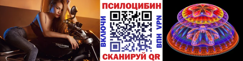 площадка официальный сайт  что такое наркотик  Ясногорск  Псилоцибиновые грибы Psilocybe 